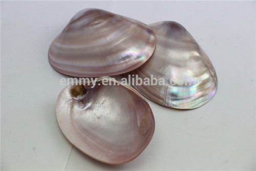 original sea shell pink mother of pearl manufacturer