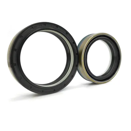 China Manufacturer Viton Oil Seals Custom Dana 2120605101