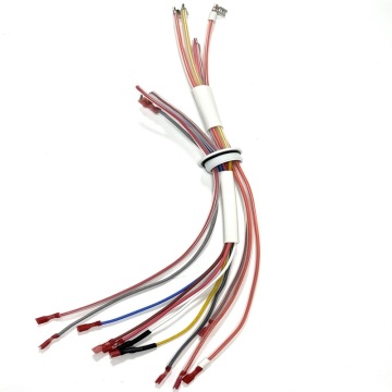 Multi Terminal Wire Harness