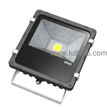 20W projector Floodlights