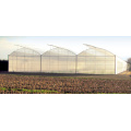 Multi-span cheap agricultural film Tunnel Plastic greenhouse