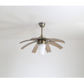 Brown and Transparency color ceiling fan with light