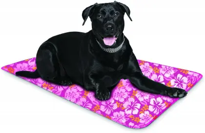 New Design Cool Pet Ice Mat