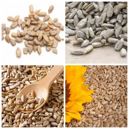 sunflower kernels chinese sunflower kernels oil BakeryType sunflower kernels