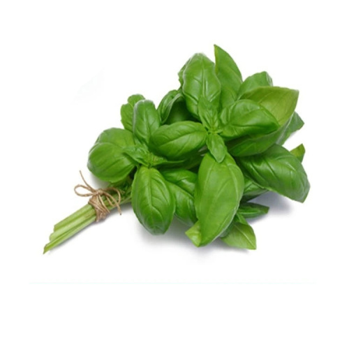 Natural Holy Basil Leaf Extract With Free Sample