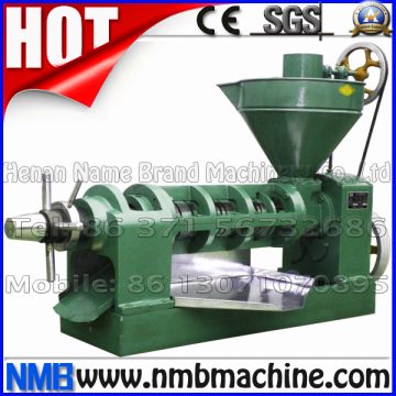 Hot Seller Factory Price Screw Oil Press