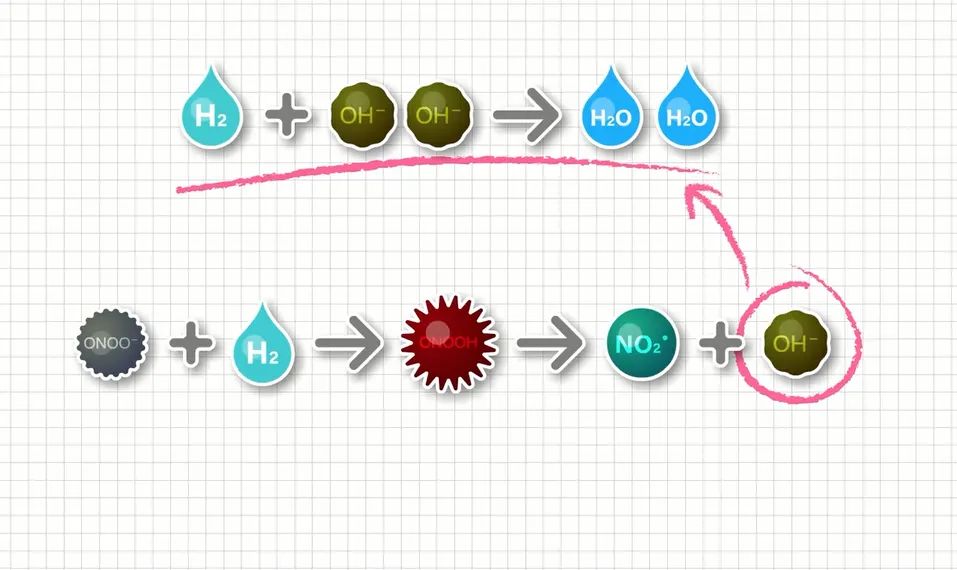 anti-oxidant2