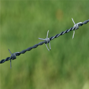 Electro Galvanized Barbed Wire