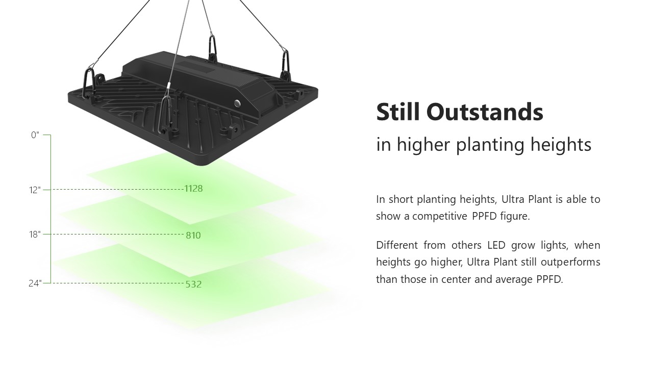 200W Full Spectrum Grow Lamps for Greenhouses