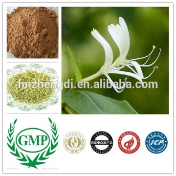 Pure Honey Suckle Flower Extract 98% Chlorogenic Acid