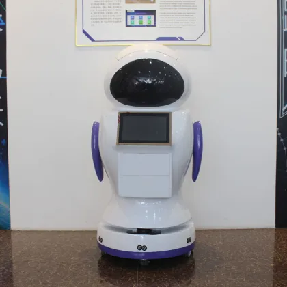 Interactive Intelligent Hotel Delivery Robot: Personal and Company Assistant