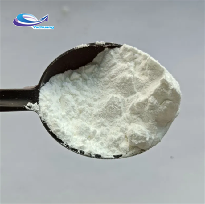 Stevia Extract Powder 