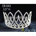 Corona de la Tiara de Novia de princesa flor de diamantes de imitación plata