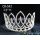 Silver Rhinestone Flower Princess Bridal Tiara Crown