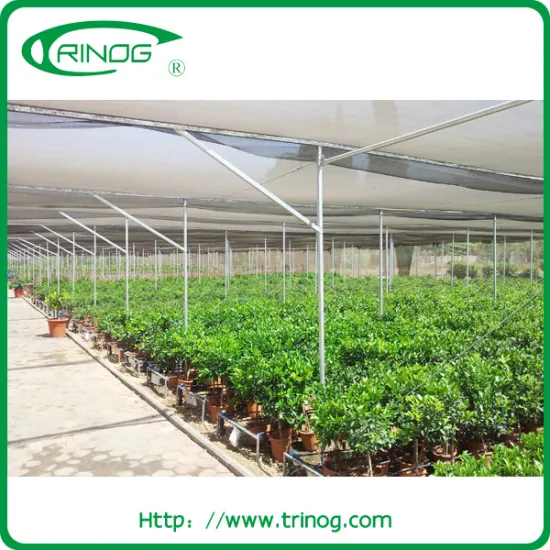 commercial net greenhouse plastic greenhouse price