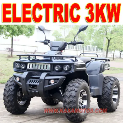 3000W ATV Electric 48V ATV