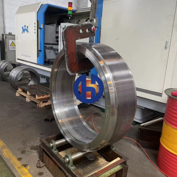 VAN AARSEN Pelleting Press Matrix Granulator Ring Die