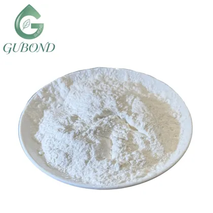 Lactobacillus bulgaricus Freeze-Dried Probiotic Powder