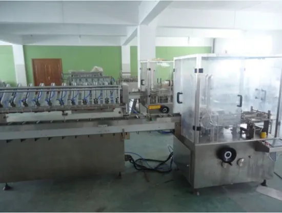 Automatic Boxing Machine for Sachet