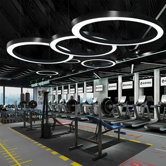 LED Ring Light Pendant Lamp - Aluminum Profile Round Hanging Lamp for Office