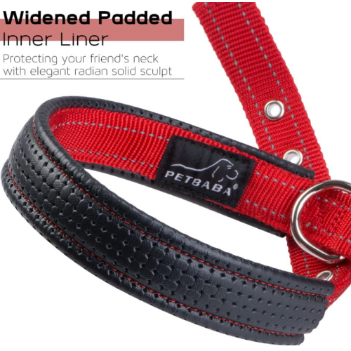 Soft Padded Dog Collar with Buckle