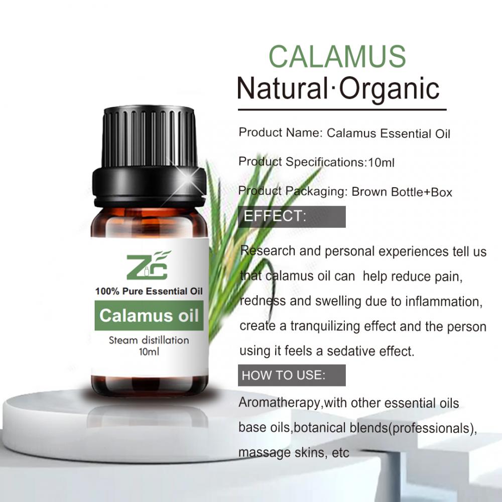 Aceite esencial de calamus con alta calidad