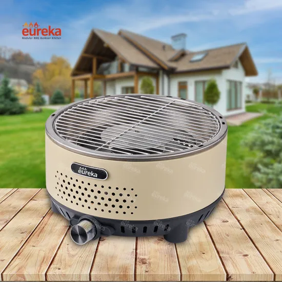 Mini Backyard Charcoal Outdoor Camping Gas Grill Outdoor Kitchen Grills Bbq