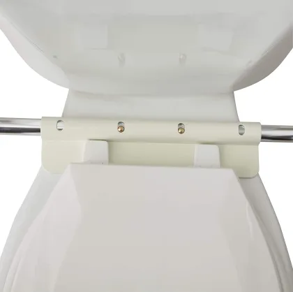 Guardian Toilet Safety Rail