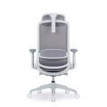 Hot Sale Ergonomic Mesh Executive Office Chair Modern Design Lift Chair