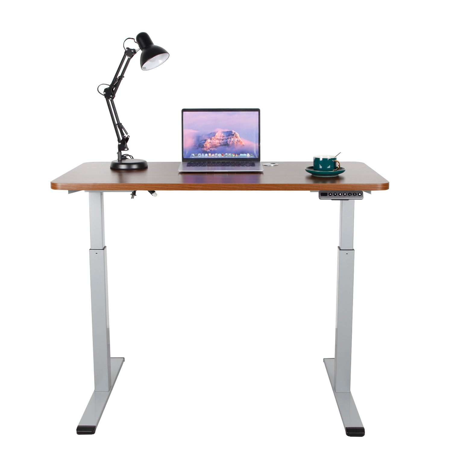 Dual motor desk