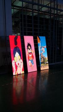 iPoster Indoor LED display