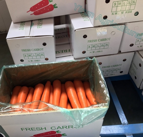 Diimport pelbagai jenis wortel merah