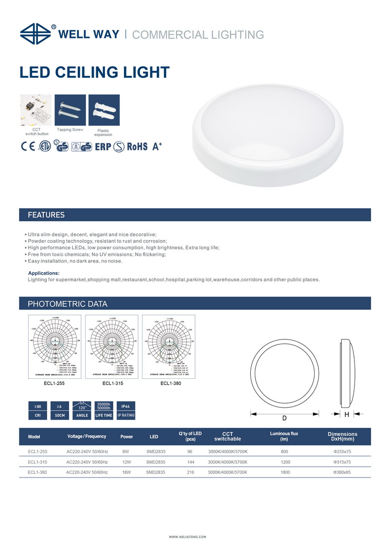 12.1 ECL1 LED Ceiling lamp1