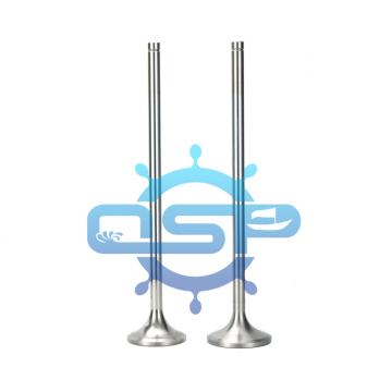 PIELSTICK PC2-6V Marine Ship Engine Spare Parts diesel INTAKE EXHAUST Valve 23-8N+STL NI80