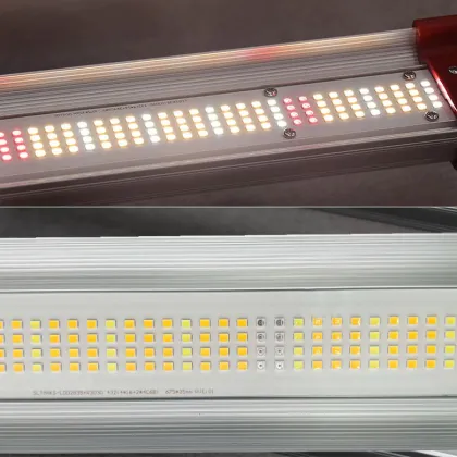 Top 600W COB Led Grow Light Samsung