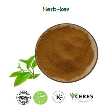 High content 98% green tea extract tea polyphenol