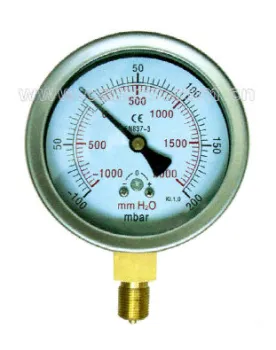 Pressure Gauge