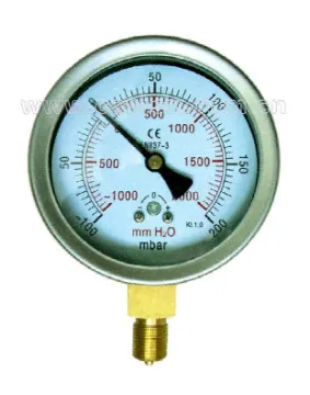 Pressure Gauge