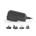 6V 1A Adaptador AC DC intercambiável 1A