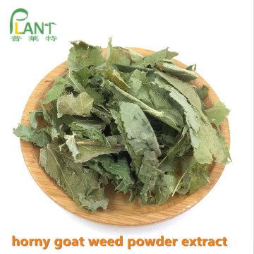Penis Kräutermedizin Horny Goat Weed Pulver Extrakt