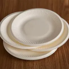 Compostable 9 Inch Pulp Paper Plates for Zero-Waste Events