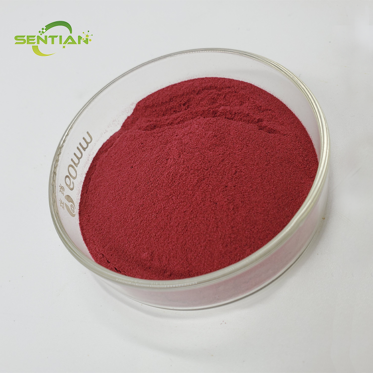 High-quality food-grade red beet powder