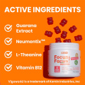 Focus Support Lion mane Gummies