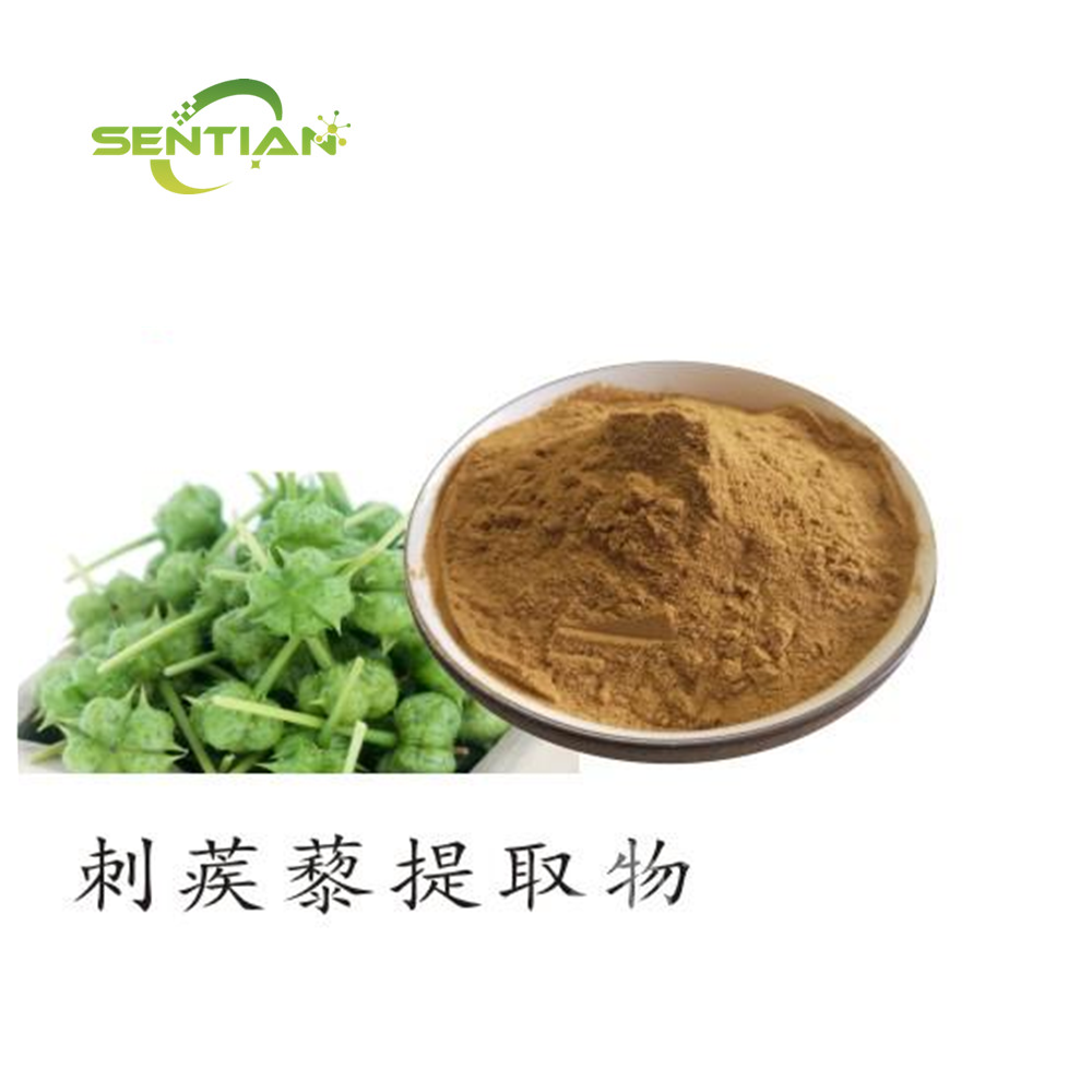 Wholesale Tribulus Terrestris Extract