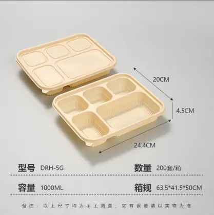 Five compartments lunch box