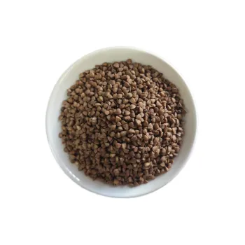 Wholesale High-Quality Roasted Buckwheat Kernels - Nutrient-Rich Buckwheat Rice
