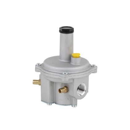 HEAPE Gas Regulator Valve 500mbar