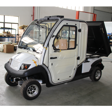 2 & 4 Wheel Two Seater Mini EVs for Sale from China