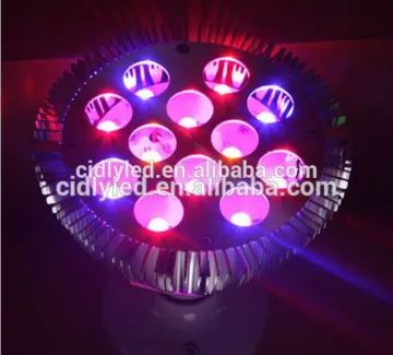 cidly manufacturer led grow light 12x3w PAR38 led lamp,led light bulb