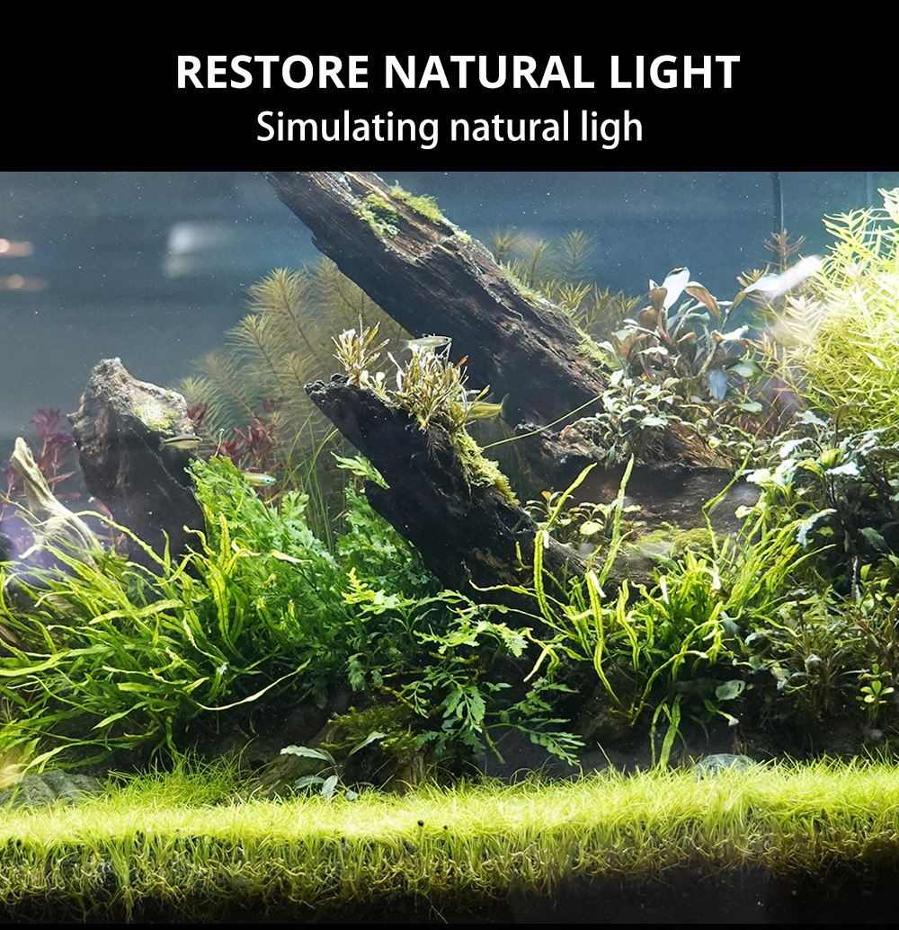 fish tank led aquarium light (3)